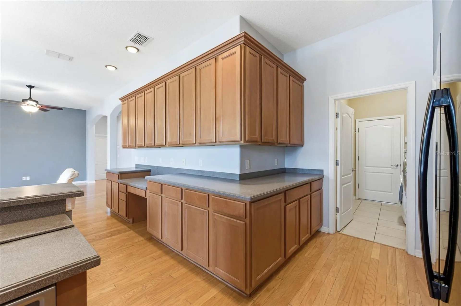 20629 Wild Plum Court Land O Lakes FL 34637