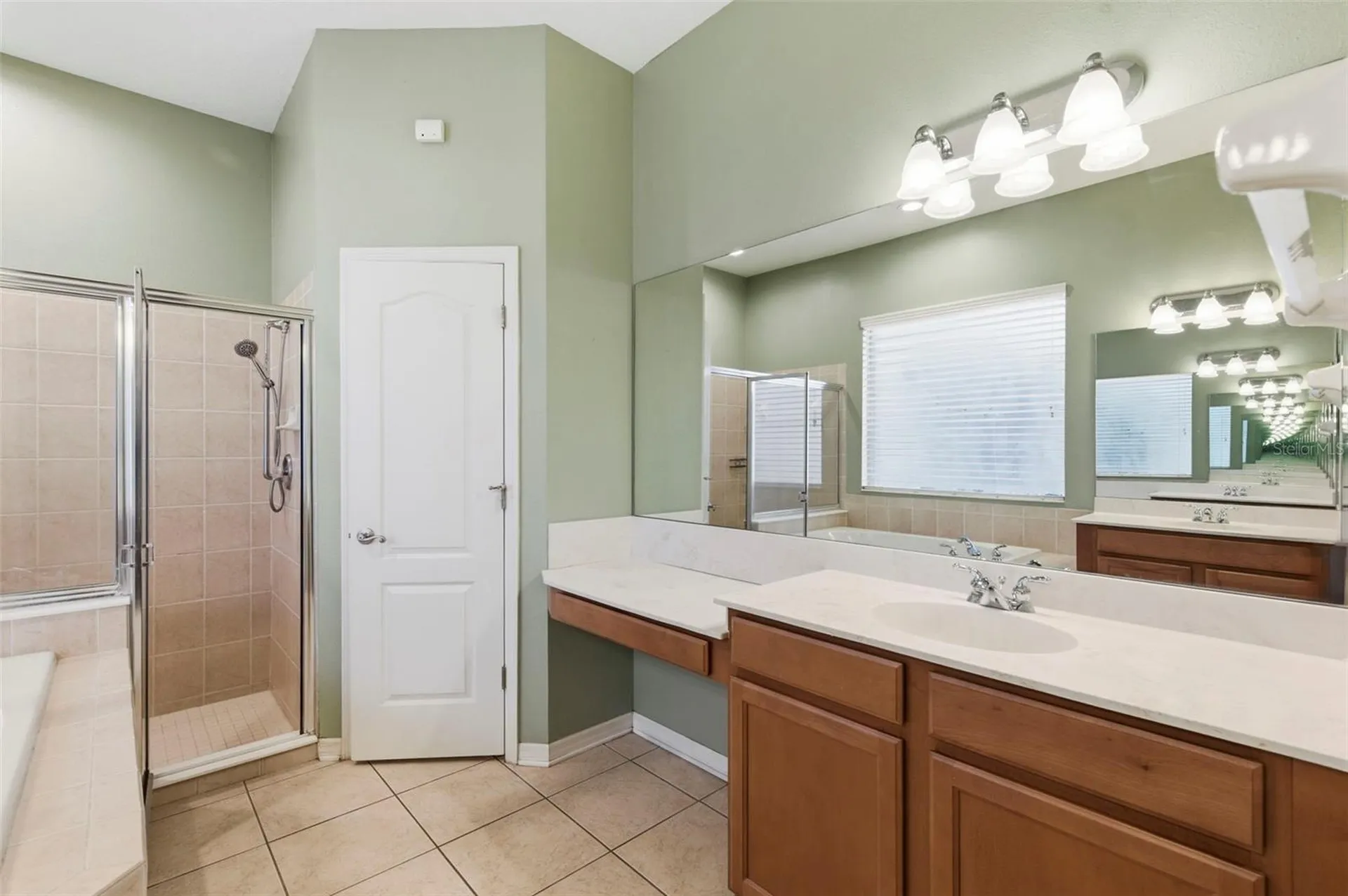 20629 Wild Plum Court Land O Lakes FL 34637