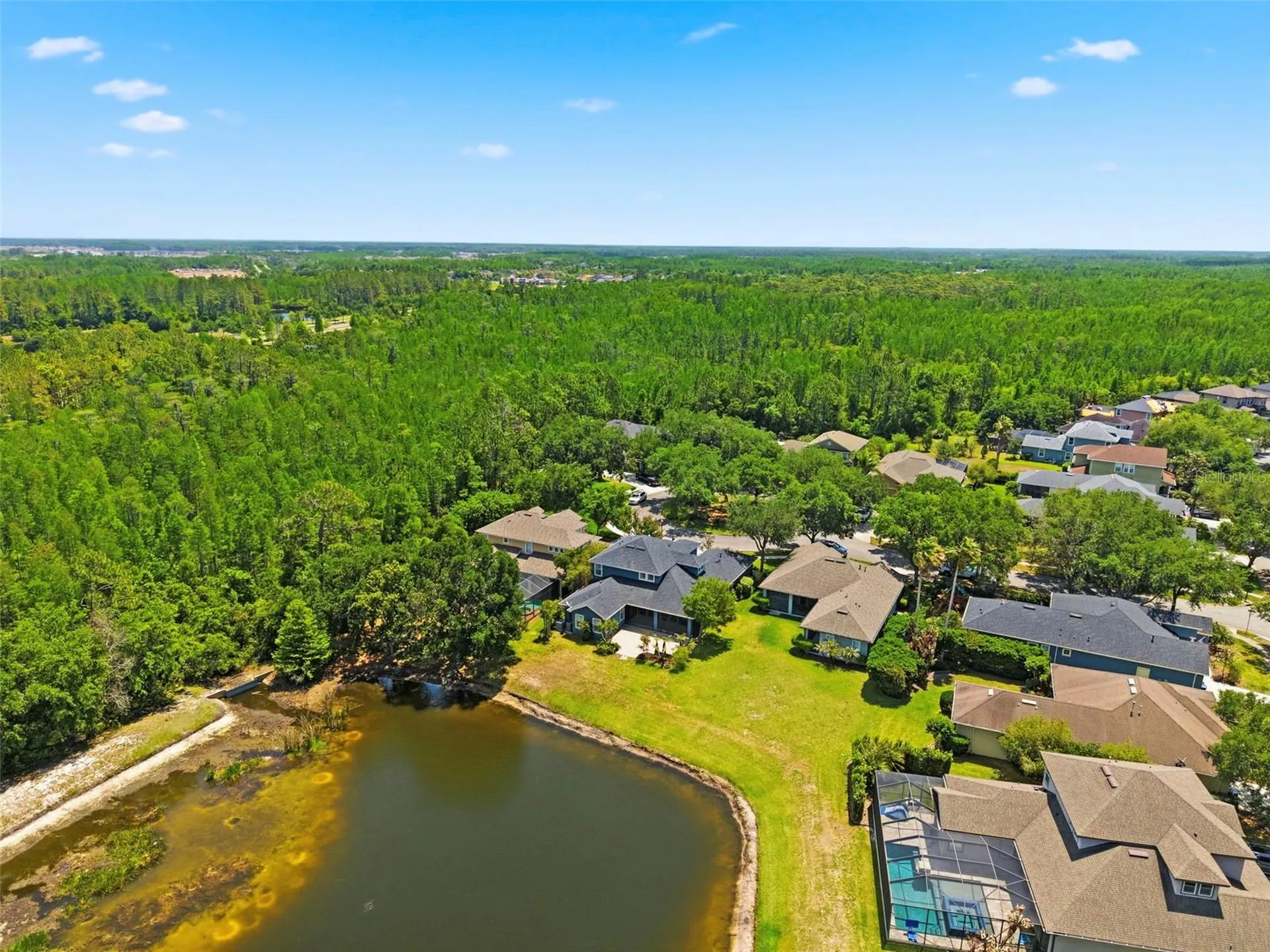 20629 Wild Plum Court Land O Lakes FL 34637