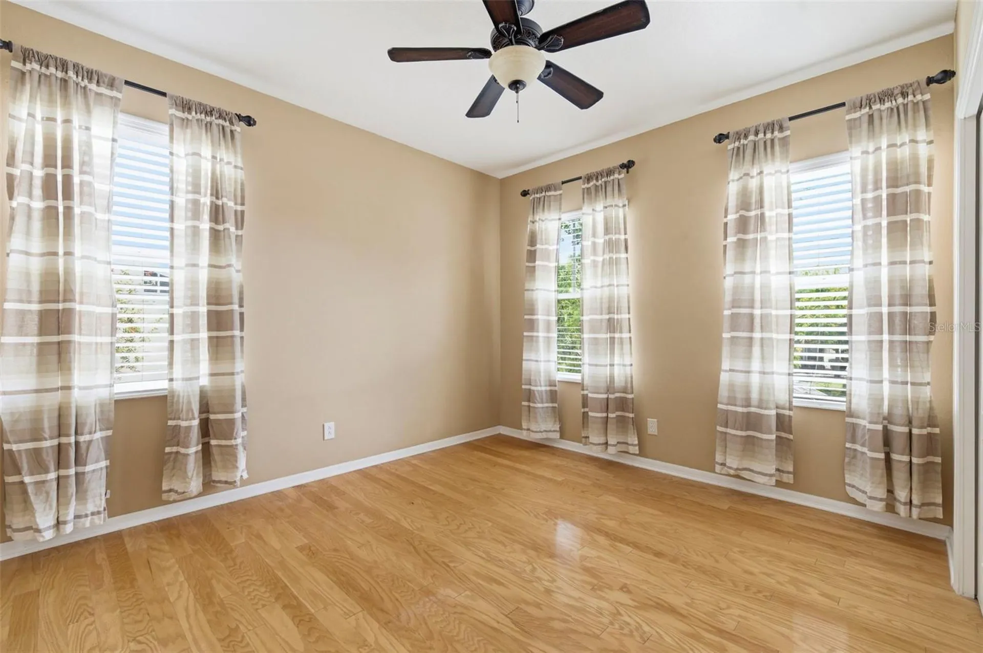 20629 Wild Plum Court Land O Lakes FL 34637