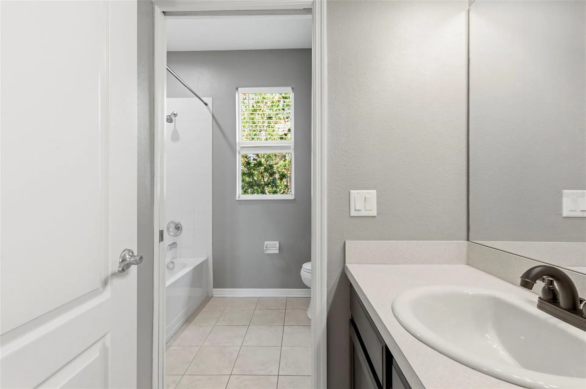 20629 Wild Plum Court Land O Lakes FL 34637