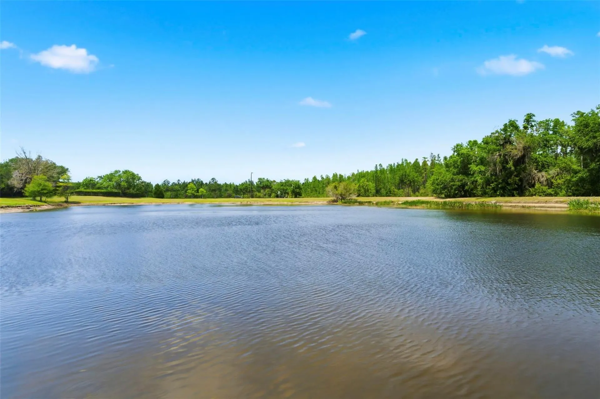 20629 Wild Plum Court Land O Lakes FL 34637