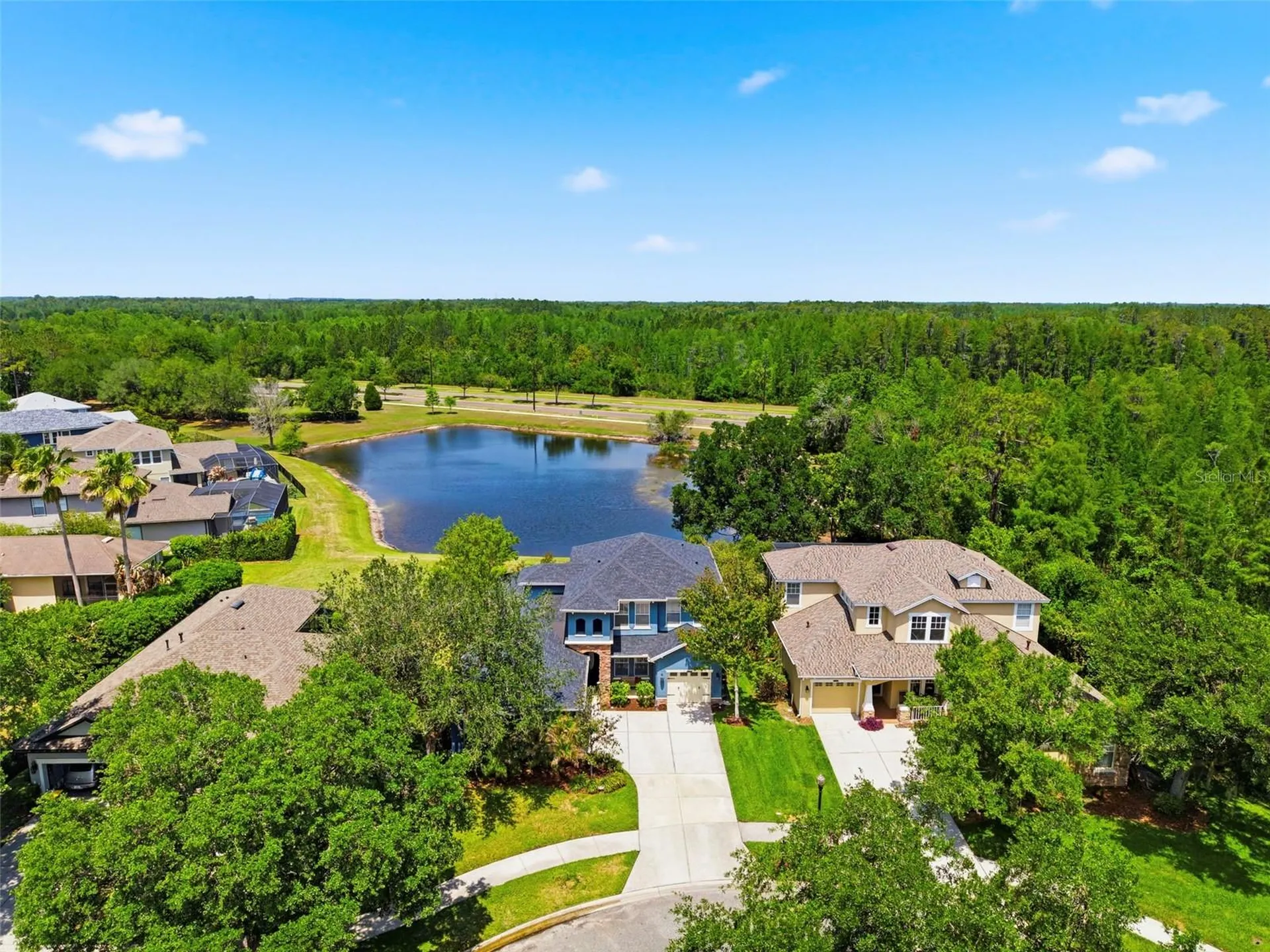 20629 Wild Plum Court Land O Lakes FL 34637
