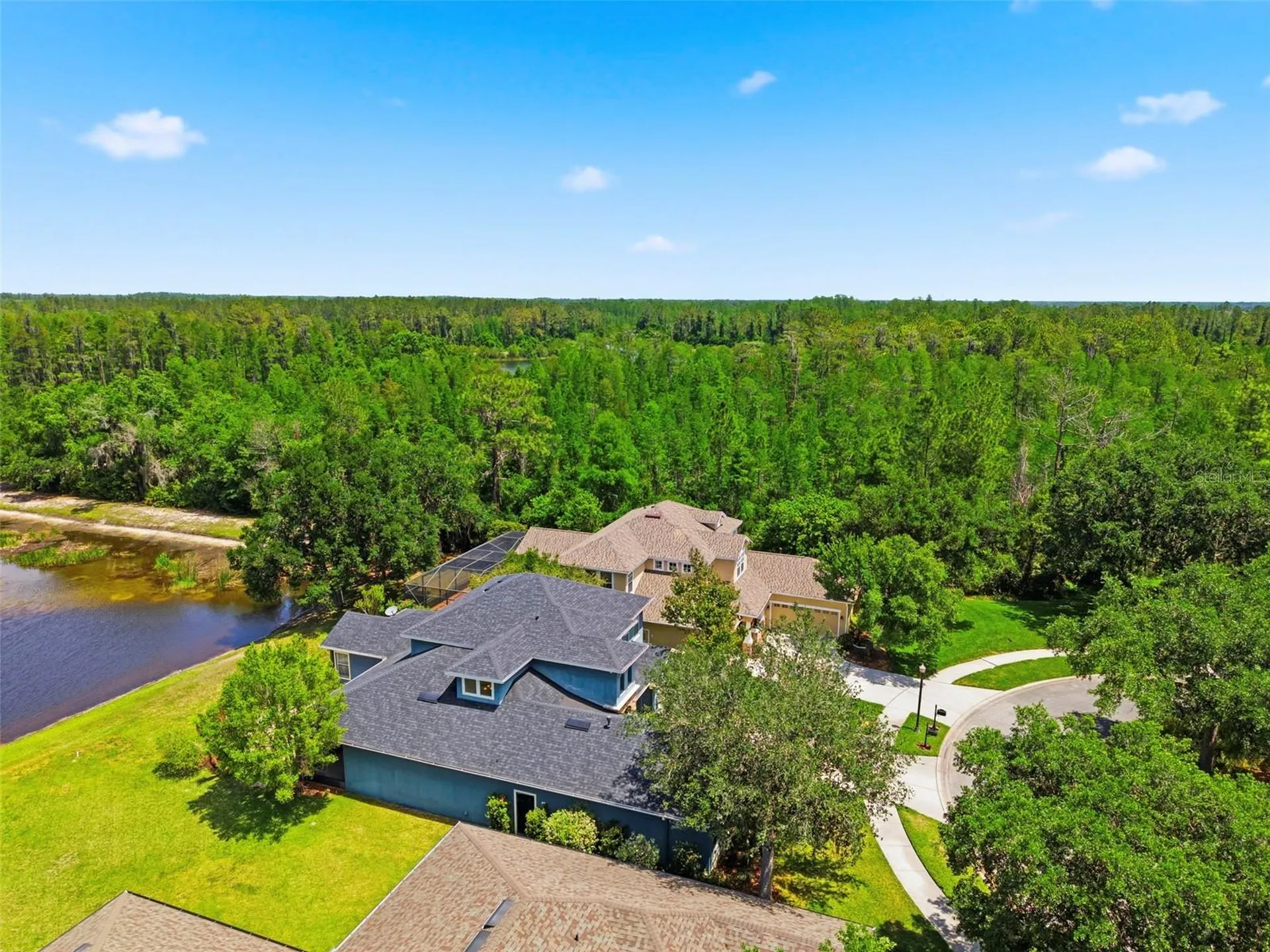 20629 Wild Plum Court Land O Lakes FL 34637