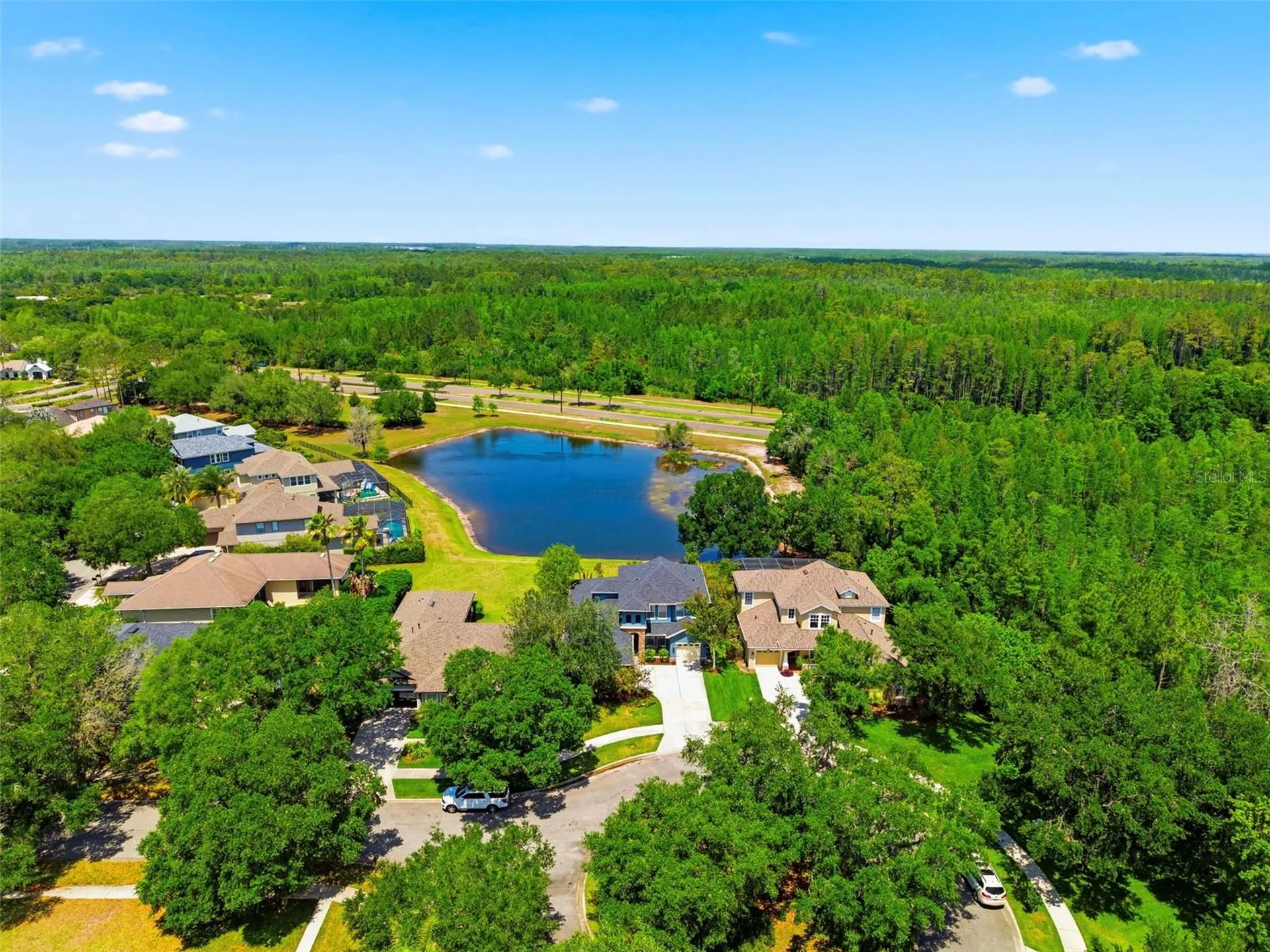20629 Wild Plum Court Land O Lakes FL 34637