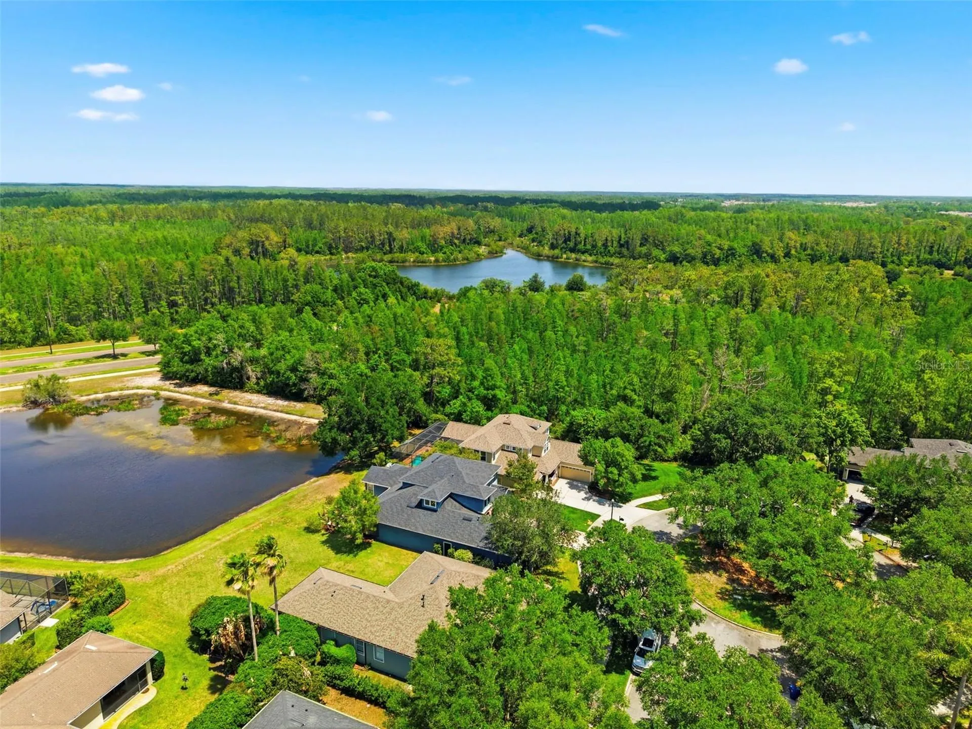20629 Wild Plum Court Land O Lakes FL 34637