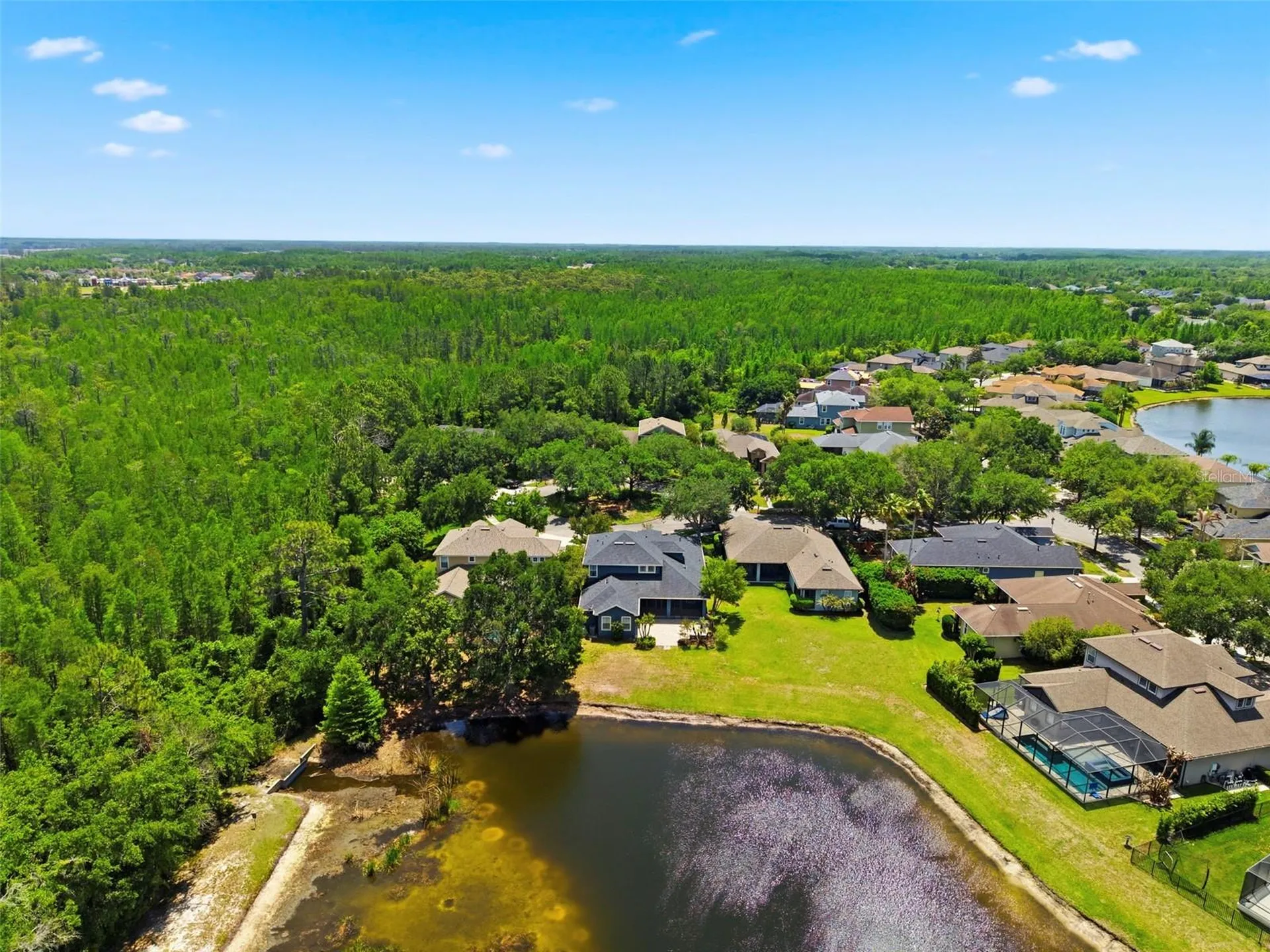 20629 Wild Plum Court Land O Lakes FL 34637