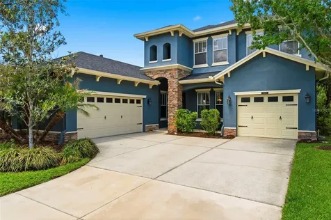 20629 Wild Plum Court Land O Lakes FL 34637