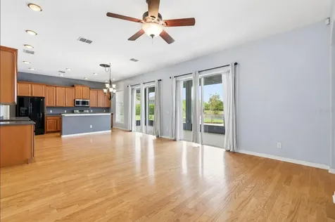 20629 Wild Plum Court Land O Lakes FL 34637