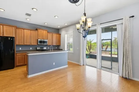 20629 Wild Plum Court Land O Lakes FL 34637
