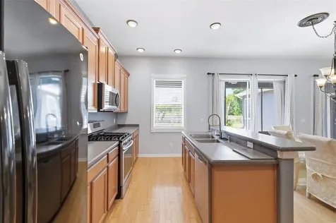 20629 Wild Plum Court Land O Lakes FL 34637