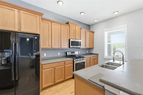 20629 Wild Plum Court Land O Lakes FL 34637