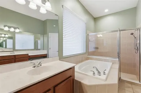 20629 Wild Plum Court Land O Lakes FL 34637