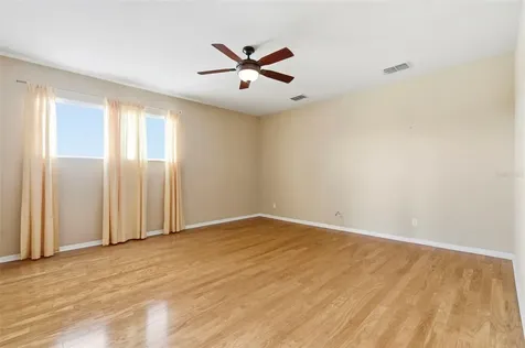 20629 Wild Plum Court Land O Lakes FL 34637