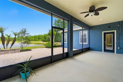 20629 Wild Plum Court Land O Lakes FL 34637