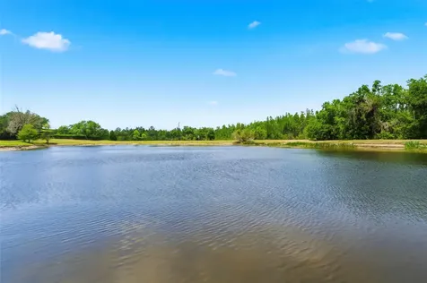 20629 Wild Plum Court Land O Lakes FL 34637