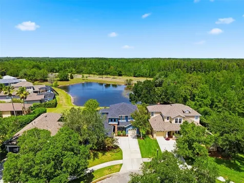 20629 Wild Plum Court Land O Lakes FL 34637