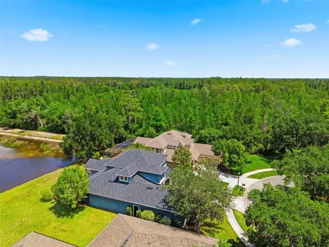 20629 Wild Plum Court Land O Lakes FL 34637