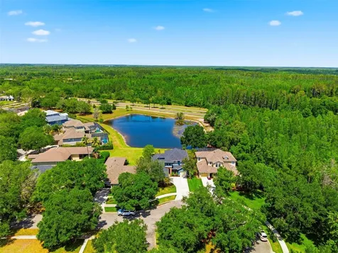 20629 Wild Plum Court Land O Lakes FL 34637