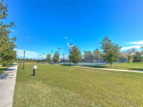 20629 Wild Plum Court Land O Lakes FL 34637