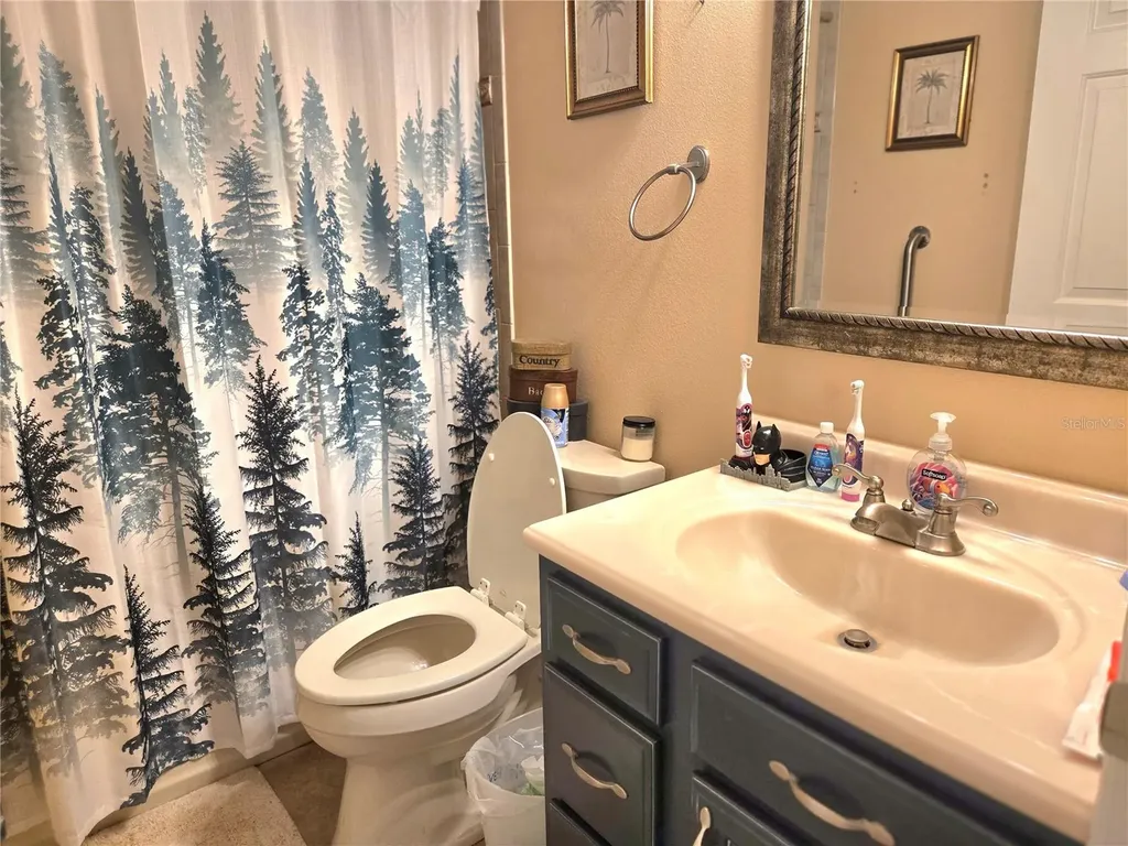 2672 SE 35th Street Sumterville FL 33585