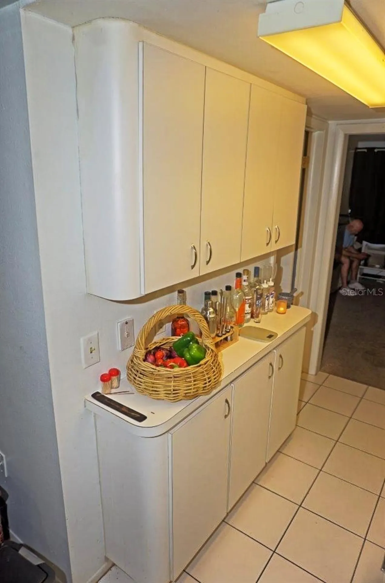 20857 Haulover Cove Lutz FL 33558