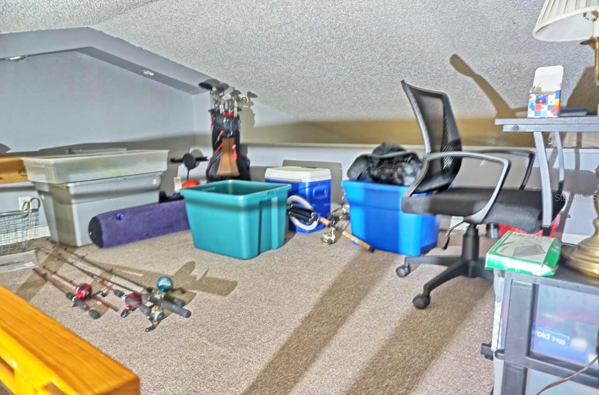 20857 Haulover Cove Lutz FL 33558