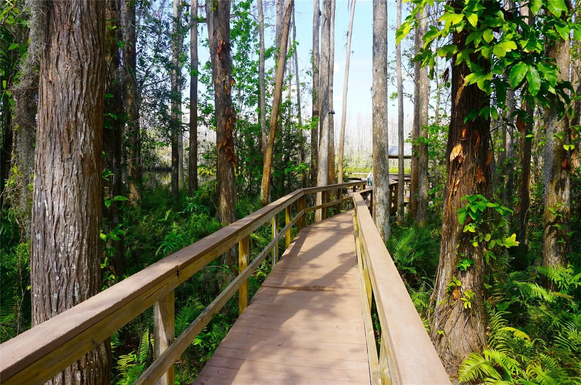 20857 Haulover Cove Lutz FL 33558