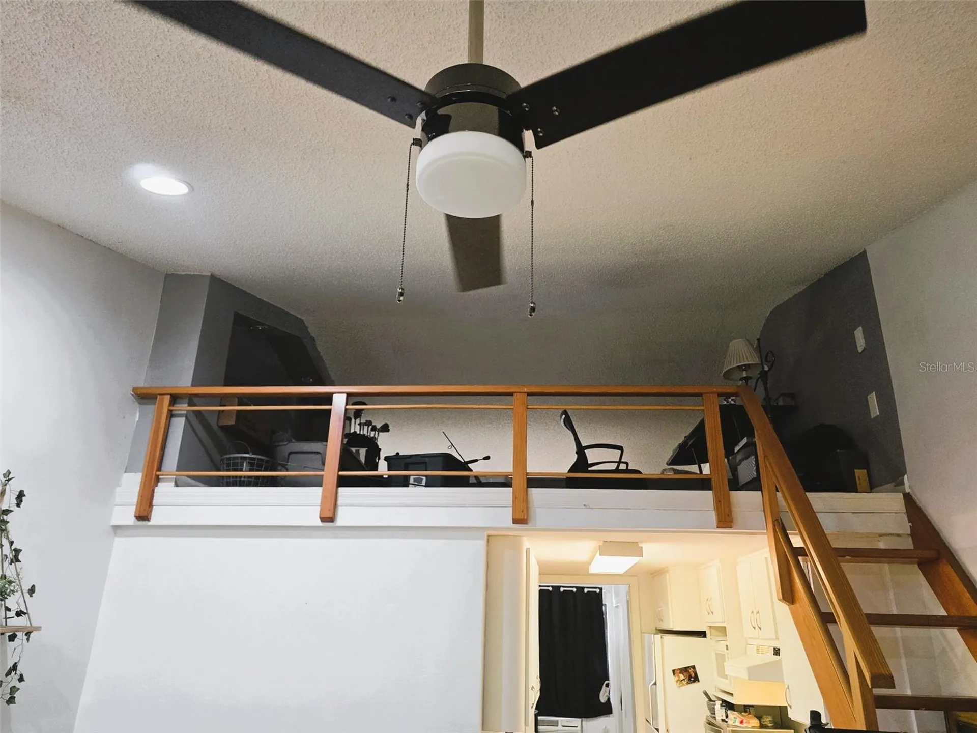 20857 Haulover Cove Lutz FL 33558
