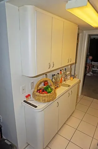 20857 Haulover Cove Lutz FL 33558