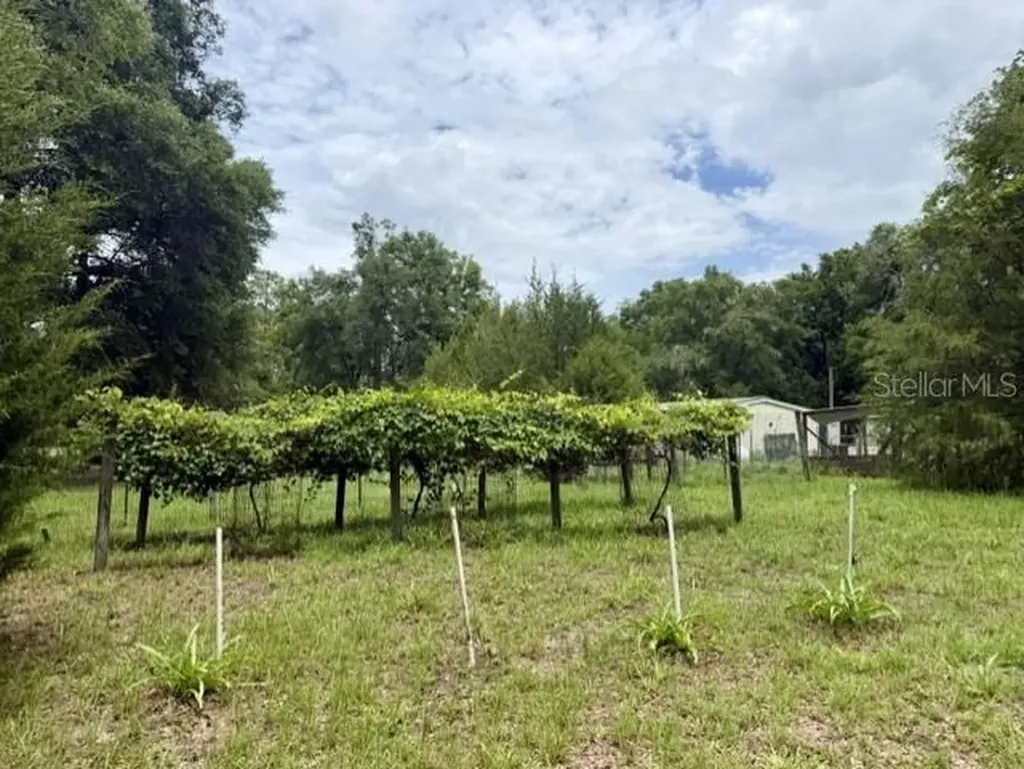 4760 NW 55th Avenue Bell FL 32619