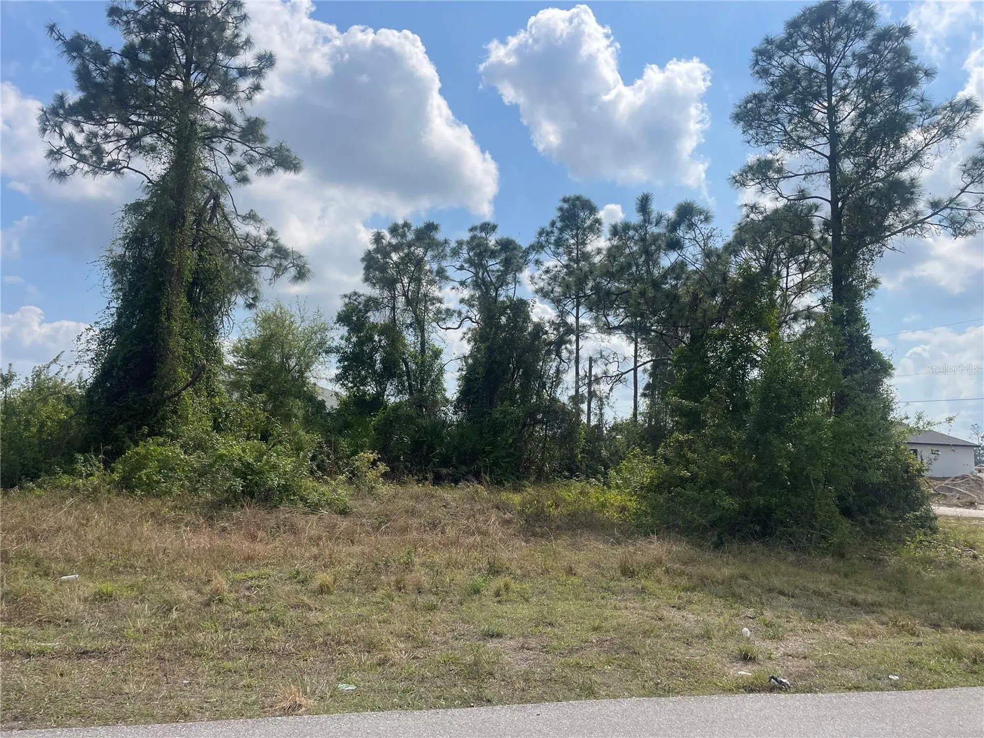 1054/1056 Albert Avenue Lehigh Acres FL 33971