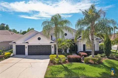 3433 Leaf Lake Drive Land O Lakes FL 34639
