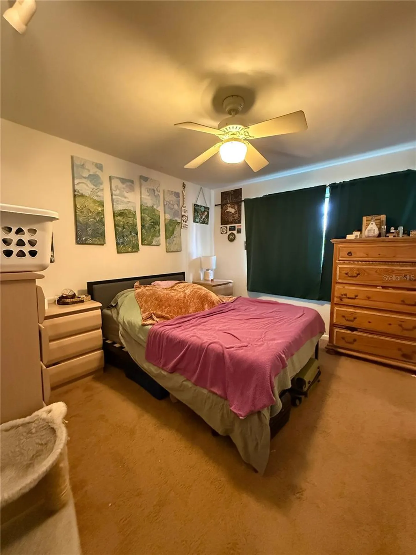 3600 SW 19th Avenue Gainesville FL 32607