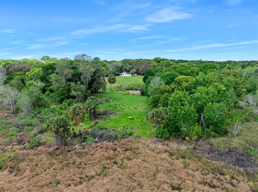 141 N Pine Street Pierson FL 32180