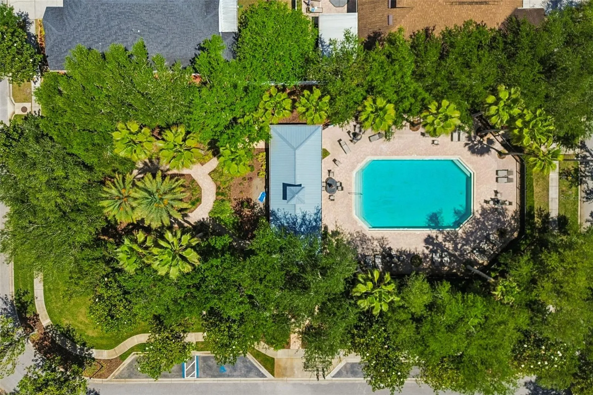 4910 Sky Blue Drive Lutz FL 33558