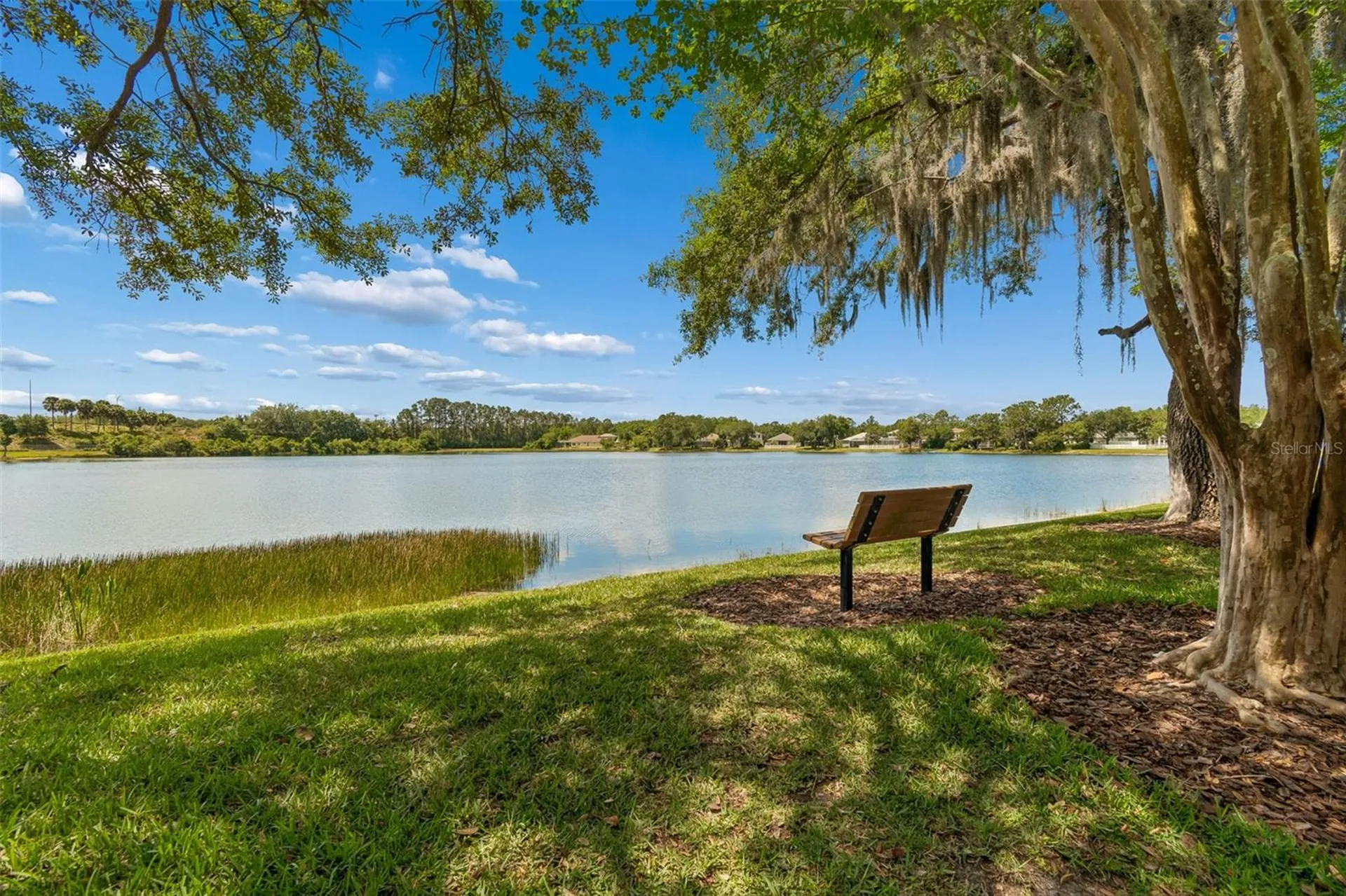 4910 Sky Blue Drive Lutz FL 33558