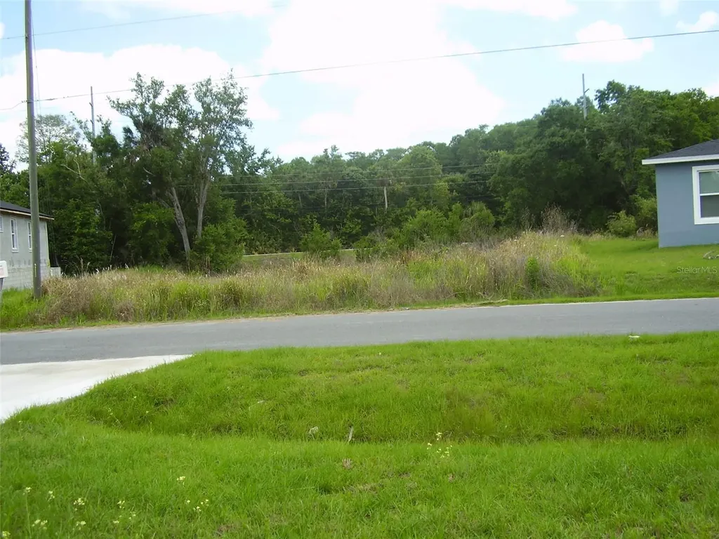 1409 Teal Drive Kissimmee FL 34759