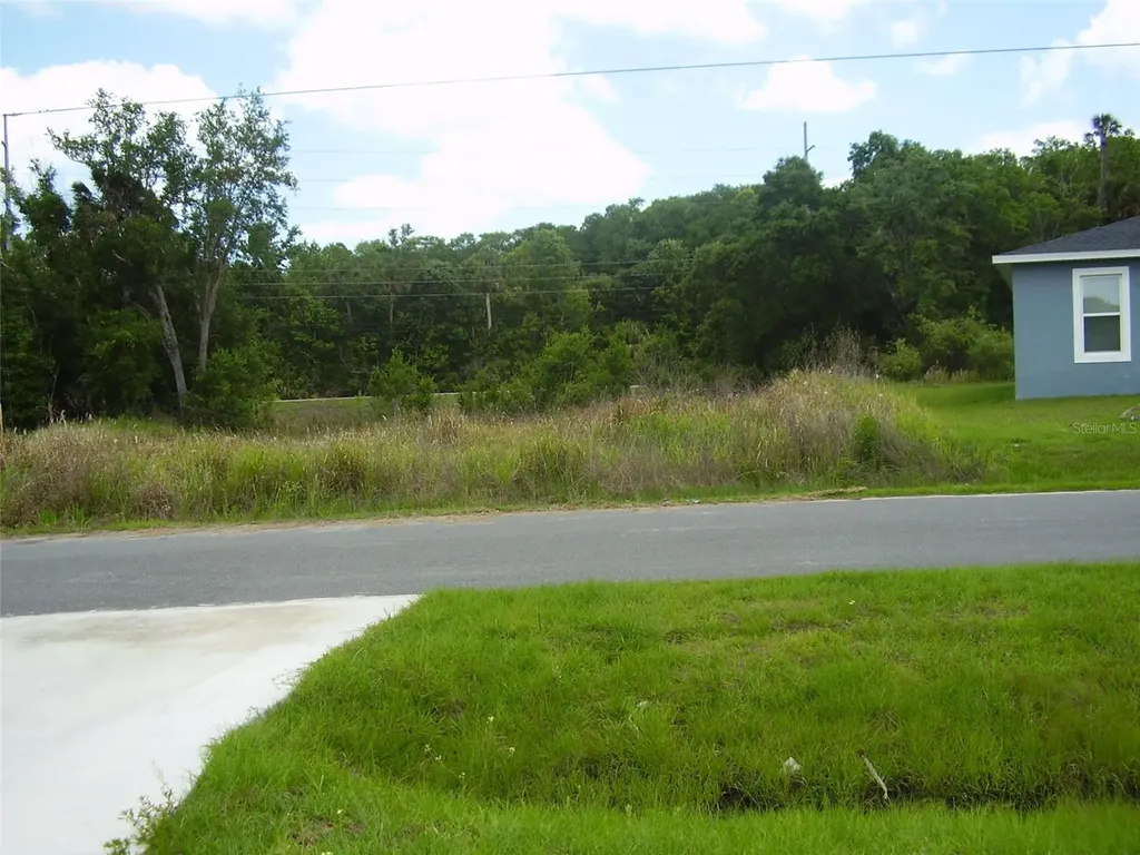 1409 Teal Drive Kissimmee FL 34759