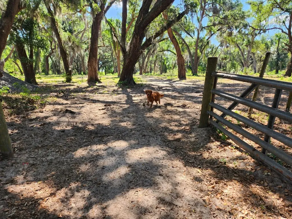 Muck Pond Road Seffner FL 33584