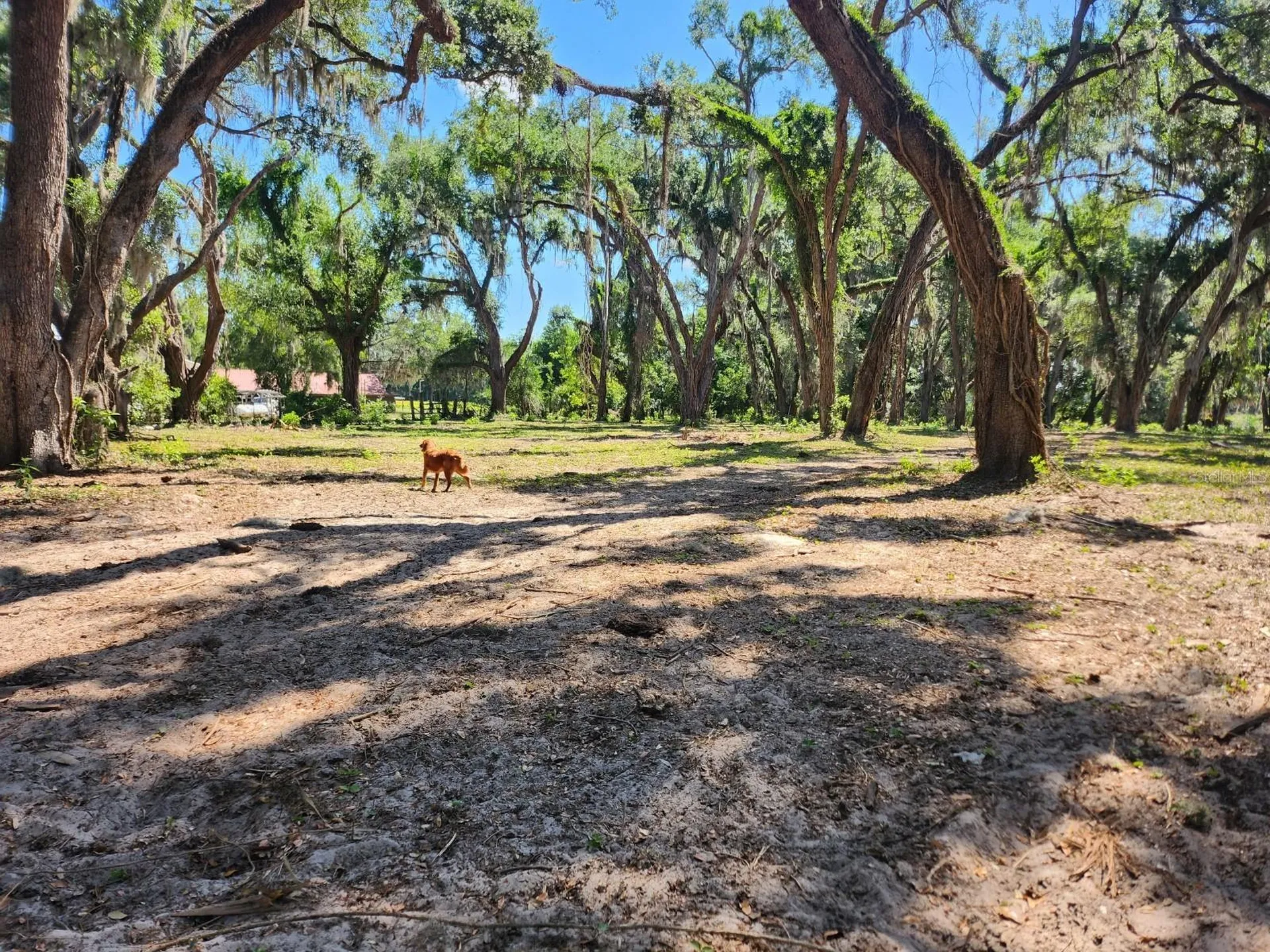 Muck Pond Road Seffner FL 33584