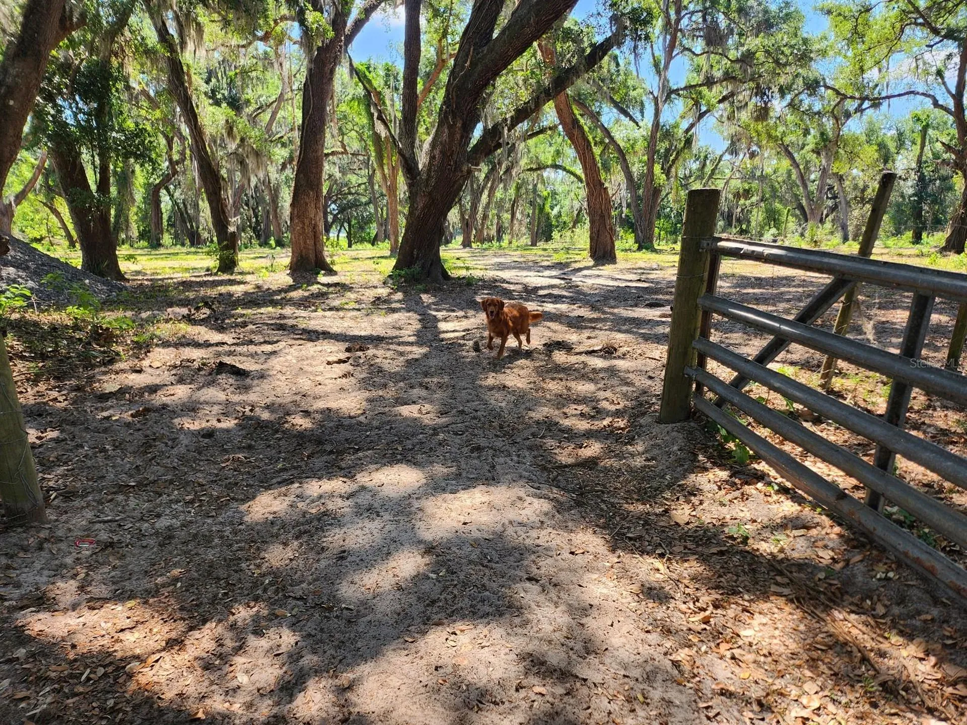 Muck Pond Road Seffner FL 33584