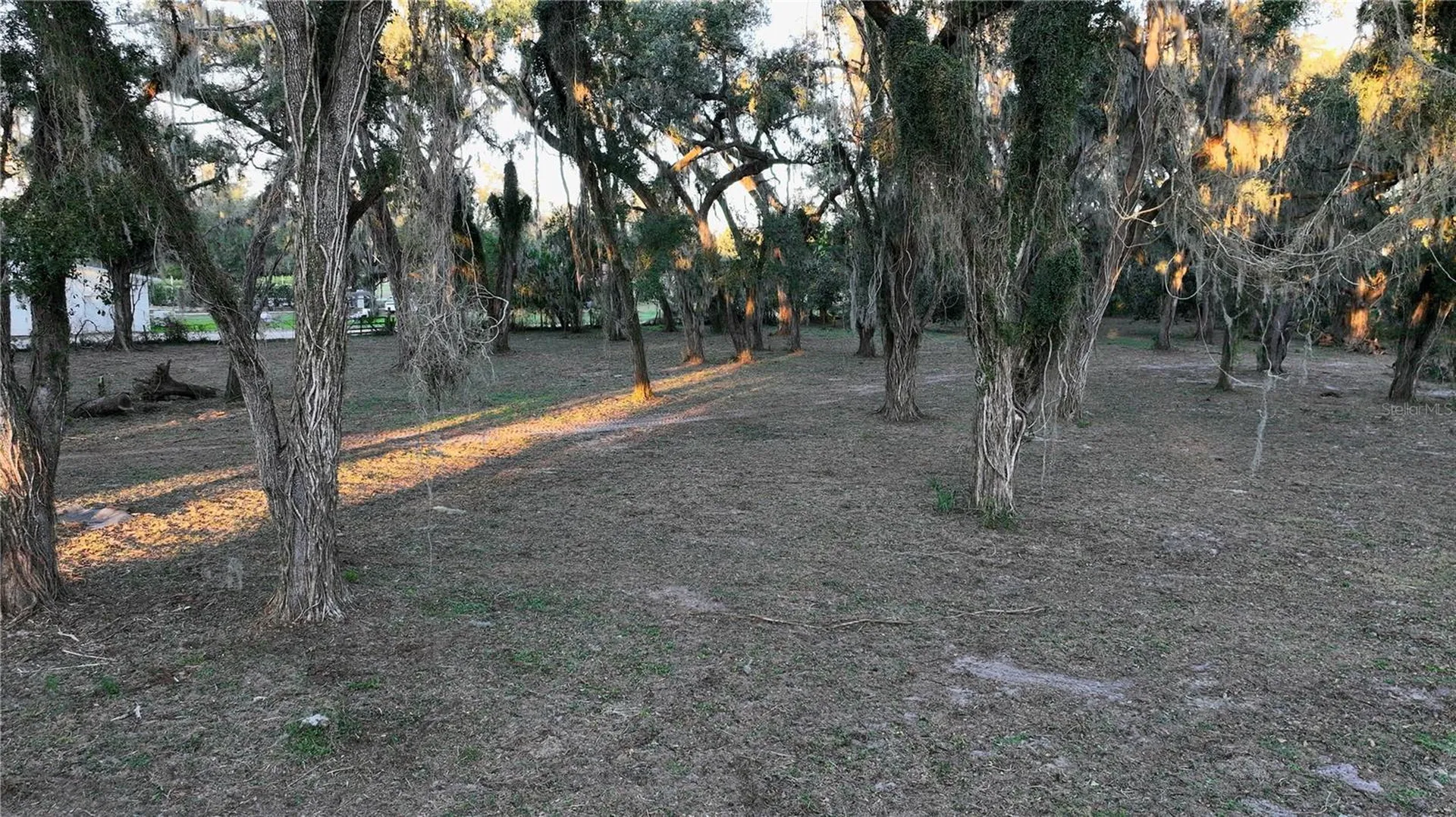 Muck Pond Road Seffner FL 33584