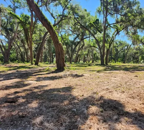Muck Pond Road Seffner FL 33584