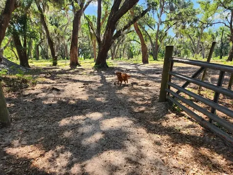 Muck Pond Road Seffner FL 33584
