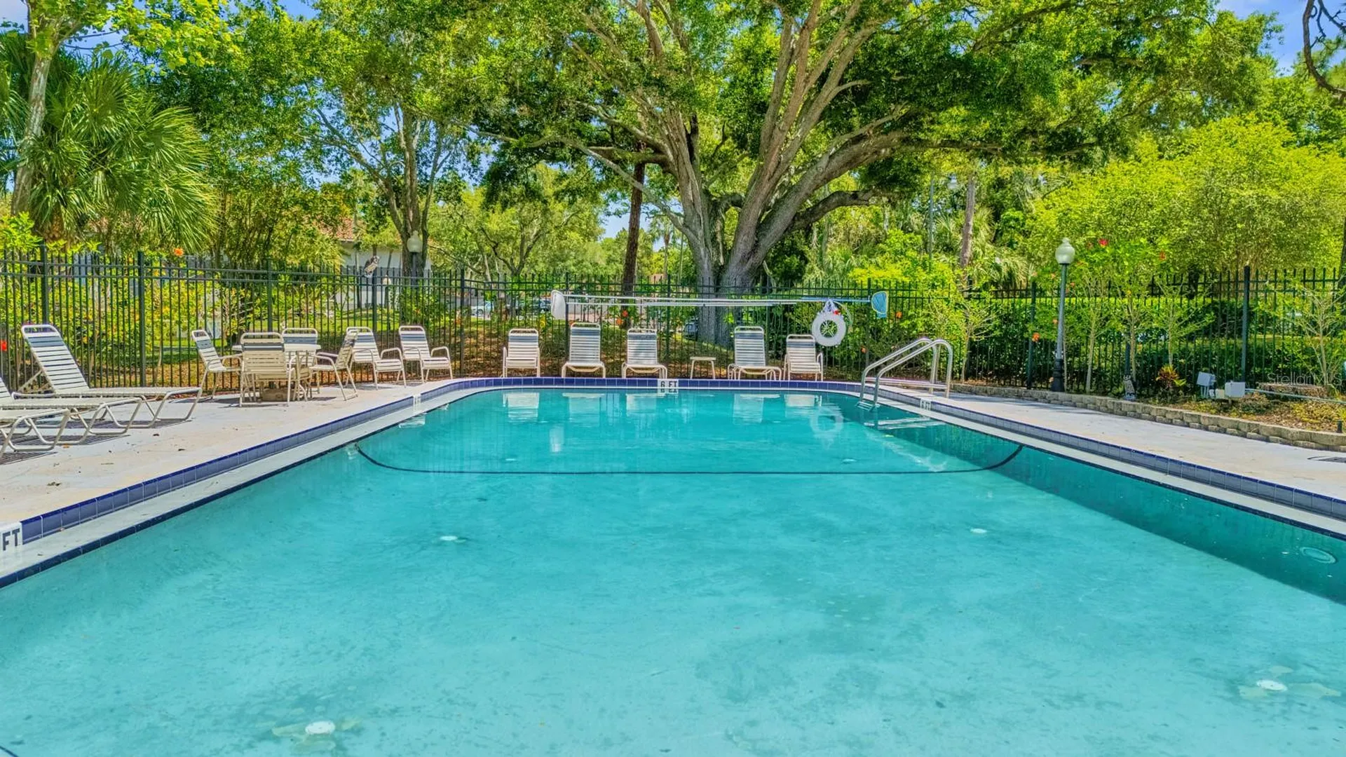 2650 Countryside Boulevard Clearwater FL 33761