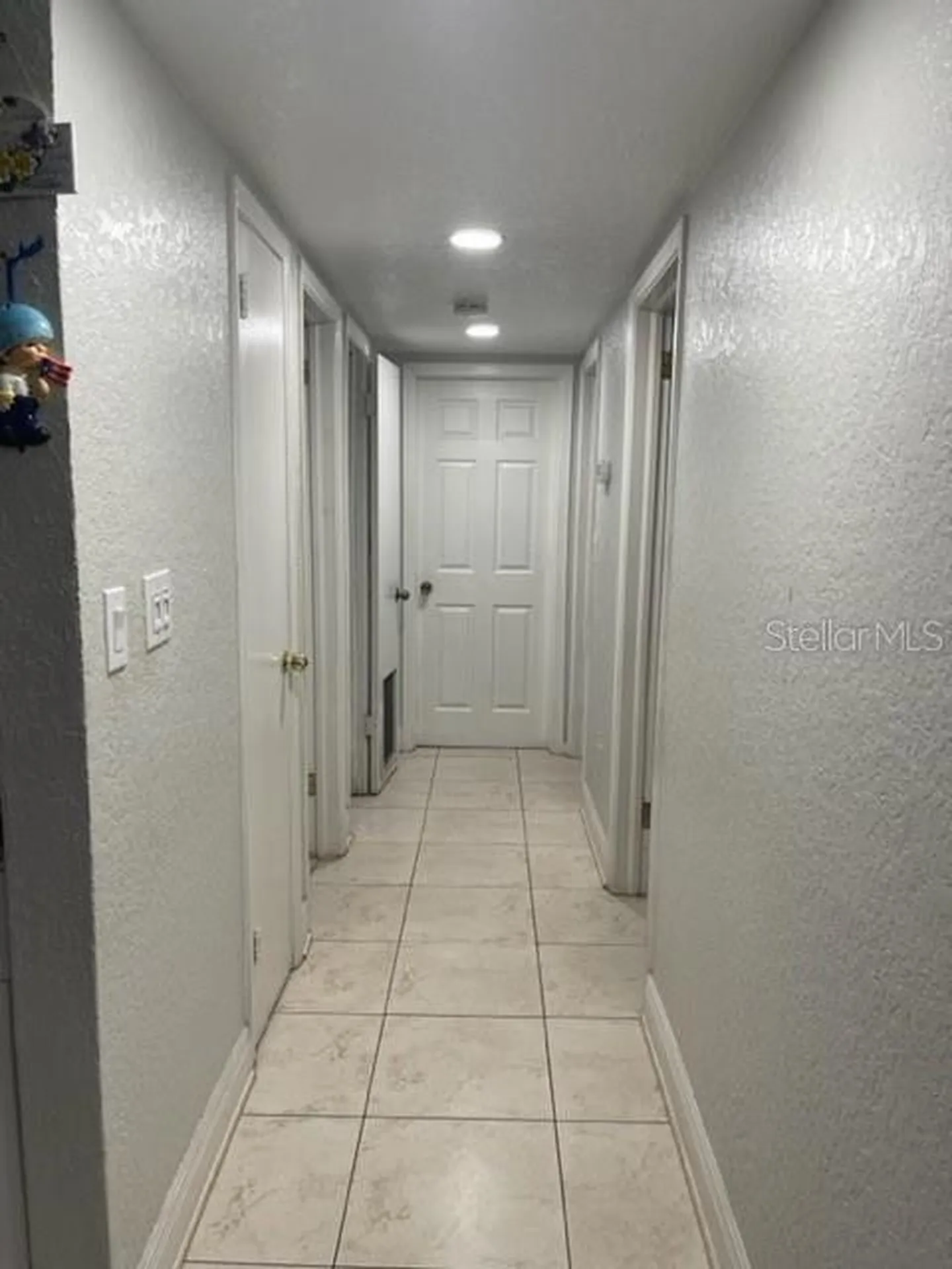 3201 River Grove Drive Tampa FL 33610