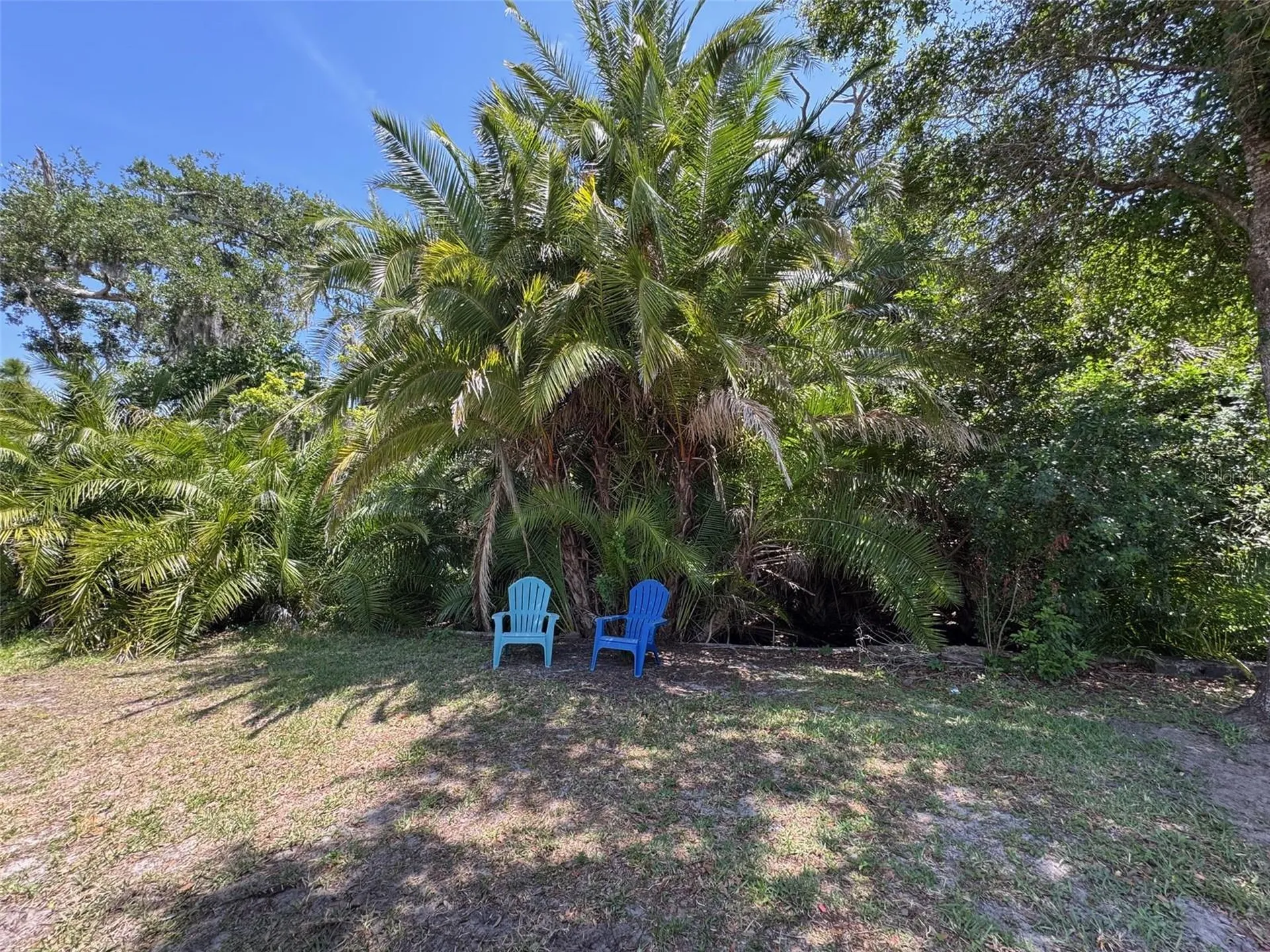 605 Michigan Boulevard Dunedin FL 34698