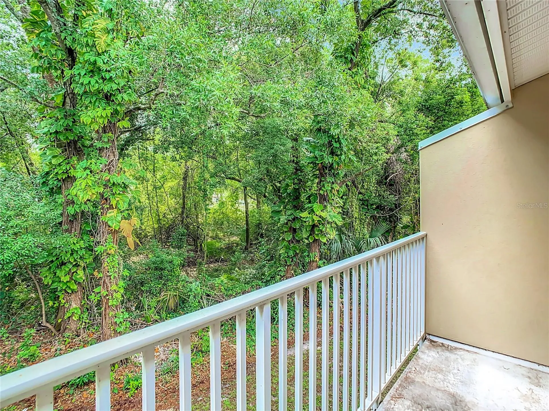 11237 Cedar Hollow Lane Tampa FL 33618