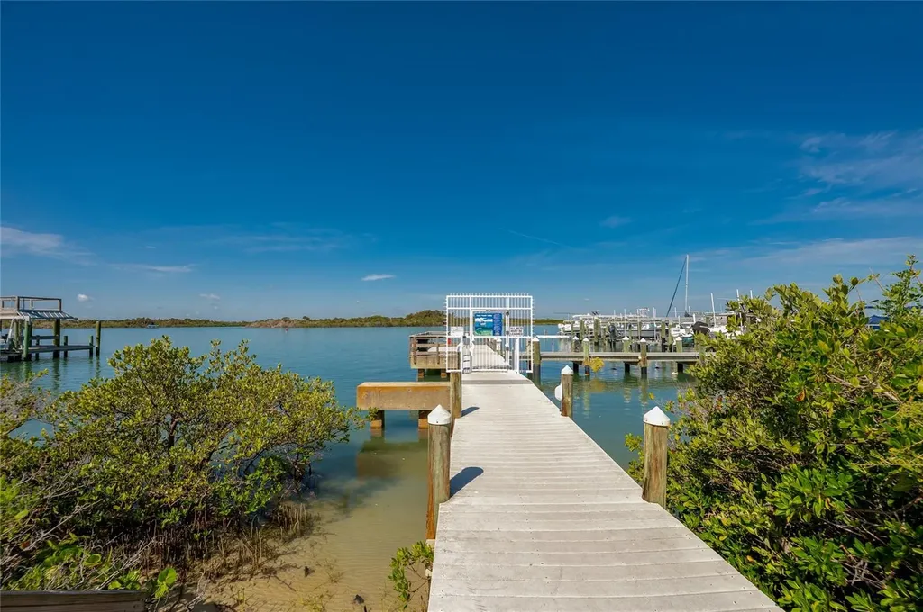 250 Minorca Beach Way New Smyrna Beach FL 32169
